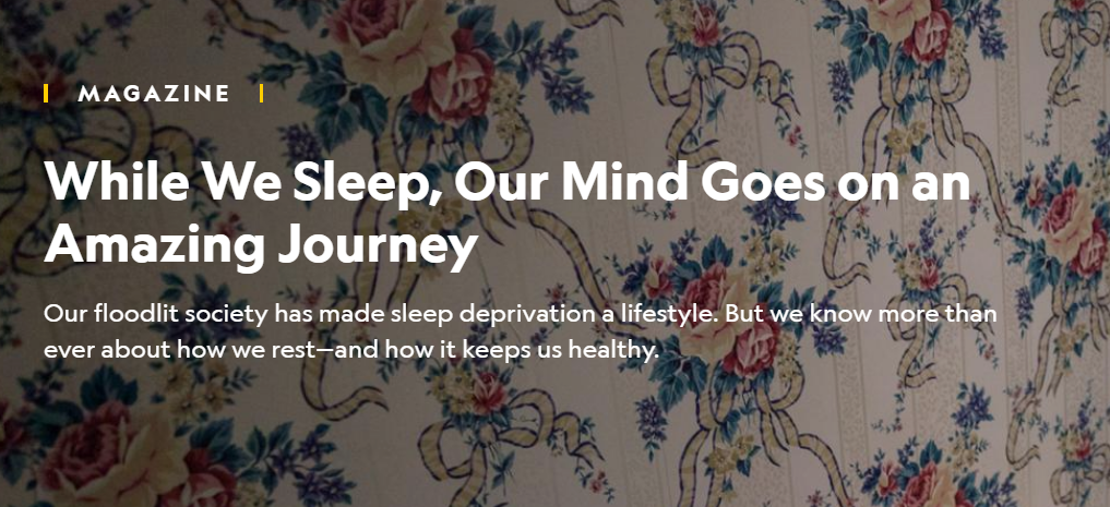 While We Sleep, Our Mind Goes on an Amazing Journey